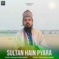 Sultaan Hain Pyara