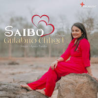 Saibo - Gulab No Chhod (Drill Version)