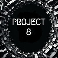 Project 8