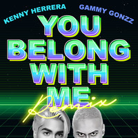 You Belong With Me (Remix)