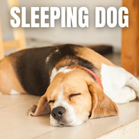 Sleeping Dog