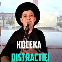 Koceka Distractiei