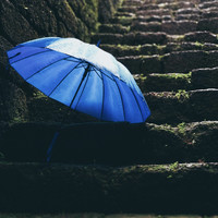 Lluvia Y Paz