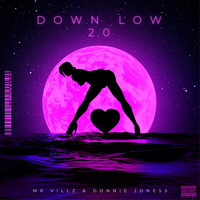 Down Low 2.0