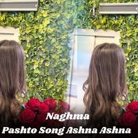 Pashto Song Ashna Ashna