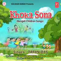 Khoka Sona