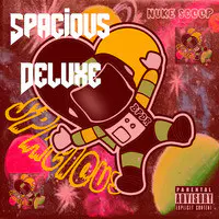 Spacious Deluxe