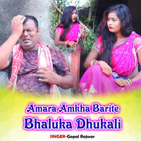 Amara Amkha Barite Bhaluka Dhukali