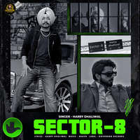 Sector-8