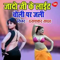 Jado Ji Ke Light Choli Par Jali