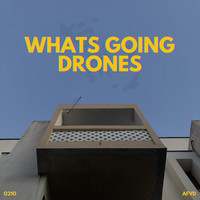 What's Going Drones