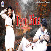 Tere Bina