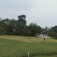 Kecapi Suling Sunda Lembur Panineungan