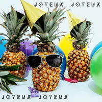 Joyeux Joyeux