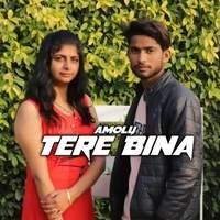 Tere Bina