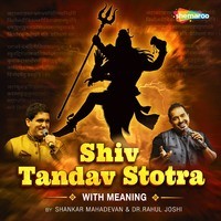 Shiv Tandav Stotra with Meaning