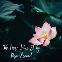 The Pure Lotus EP by Rise-Ascend