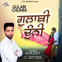 Gulabi Chunni