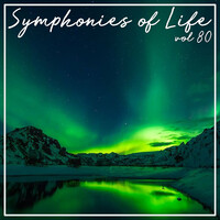 Symphonies of Life, Vol. 80 - Bach: Kantaten, Vol. 2