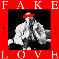 Fake Love