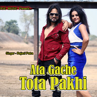 Ata Gache Tota Pakhi