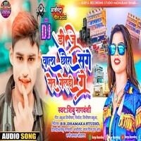 DJ wala chhora sange