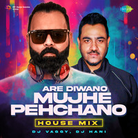 Are Diwano Mujhe Pehchano - House Mix