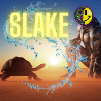 Slake