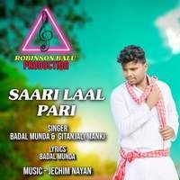 SAARI LAAL PARI