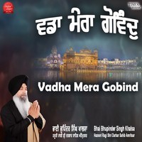 Vadha Mera Govind