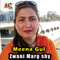 Zwani Marg shy