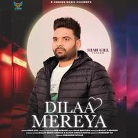 Dilaa Mereya