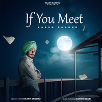 If You Meet