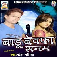 Badu Bewafa Sanam