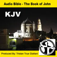 Audio Bible