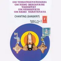 Om Venkateesaya Namaha Om Namo Bhagavathi Vasudevay Om Banasivaya Om Namo Narayanaya