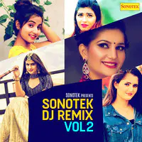 Sonotek DJ Remix Vol 2