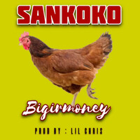 Sankoko