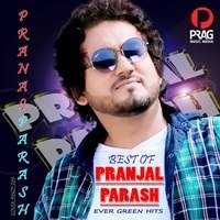 Best Of Pranjal Parash