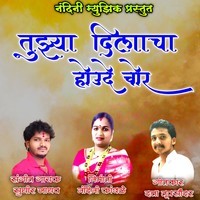 Tujhya Dilacha Houde Chor