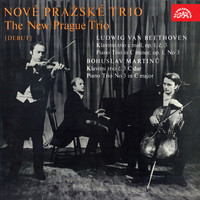 The New Prague Trio