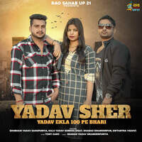 Yadav Sher ( Yadav Ekla 100 Pe Bhari ) (feat. Sharad Sikanderpur, Swtantra Yadav)