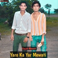 Yaro Ka Yar Mewati