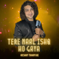 Tere Naal Ishq Ho Gaya