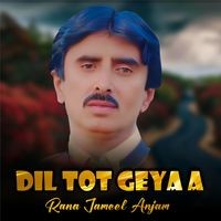 Dil Tot Geya A