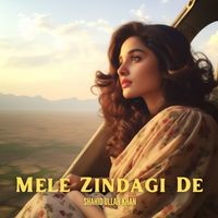 Mele Zindagi De