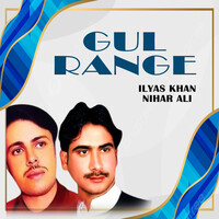 Gul Range, Vol. 46