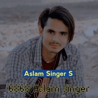 Leke Bhag Ja Tu Jahir Mewati 6868 Aslam Singer