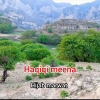 Haqiqi meena