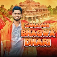 Sanatani Bhagwa Dhari